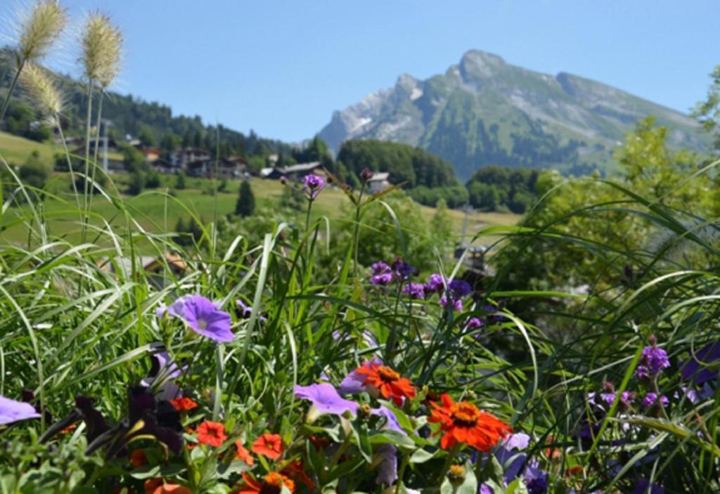 Hotel La Montagne La Clusaz Esterno foto